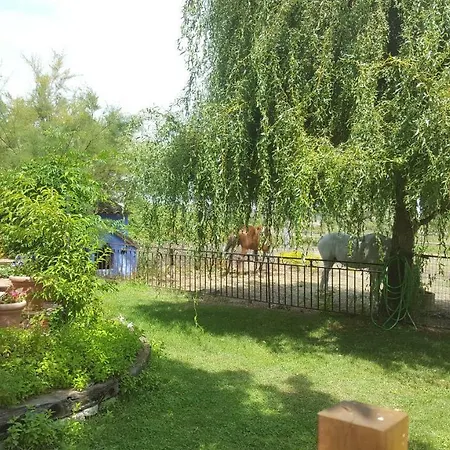 La Casona Azul *